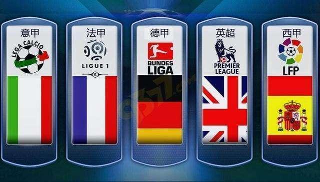 杨陷入了极