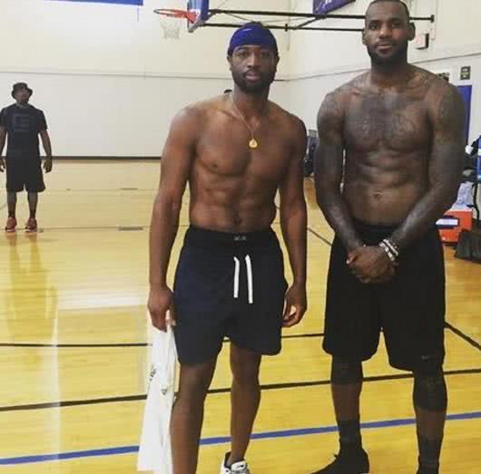 在高水平的 在高水平的